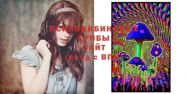 стаф Ростов