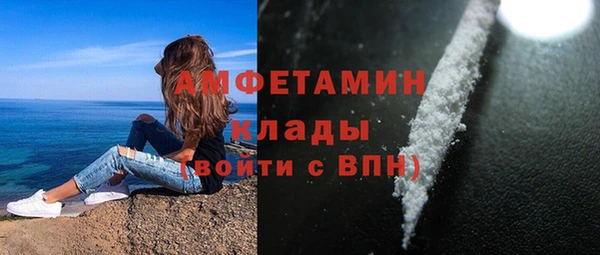 стаф Ростов