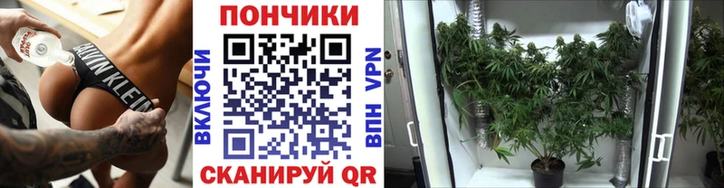Каннабис MAZAR  Баймак 